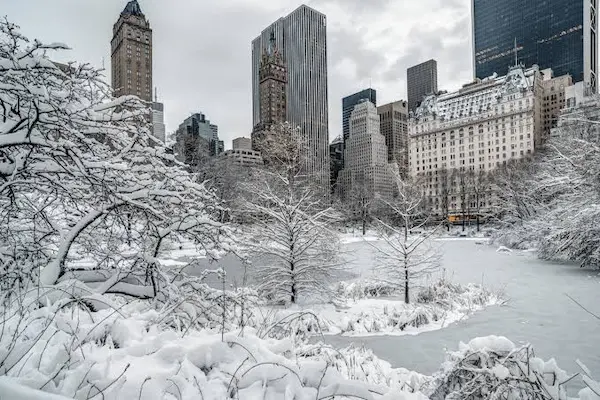 Why Preparing for Winter in New York Matters